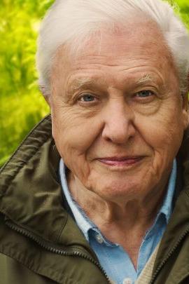 David Attenborough : Une vie sur notre planète 